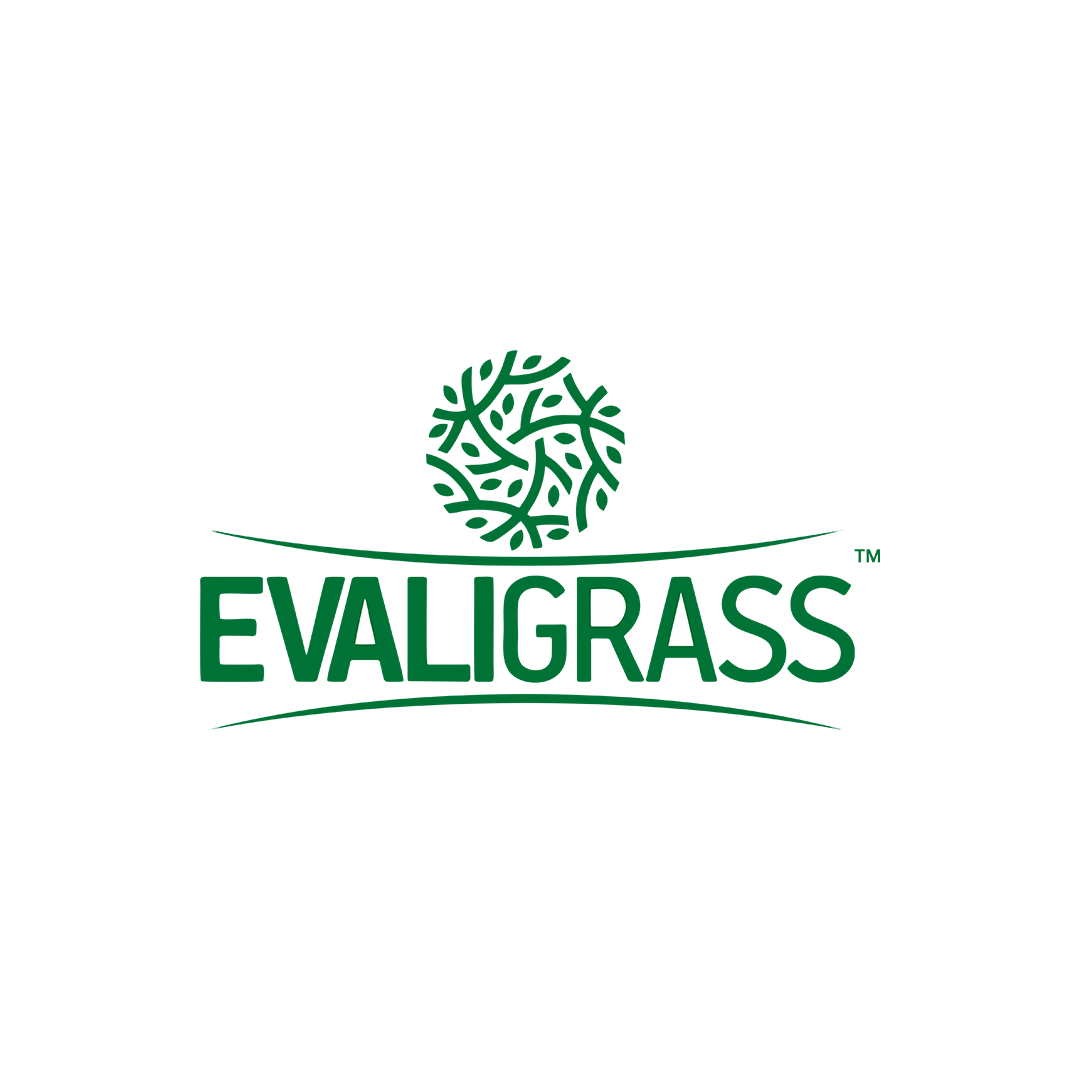 Evali Grass
